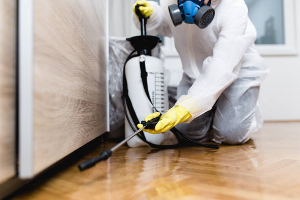Best Pest Prevention Services  in Montgomery, IN