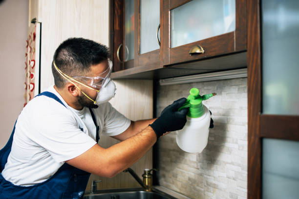 Pest Prevention Services in Montgomery, IN
