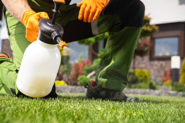Best Rat Extermination Near Me  in Montgomery, IN