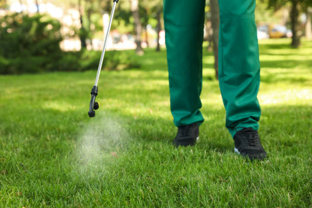 Best Local Pest Control Services  in Montgomery, IN