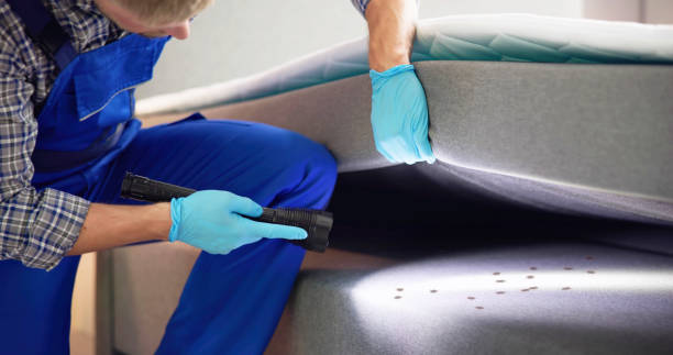 Best Affordable Pest Control Services  in Montgomery, IN