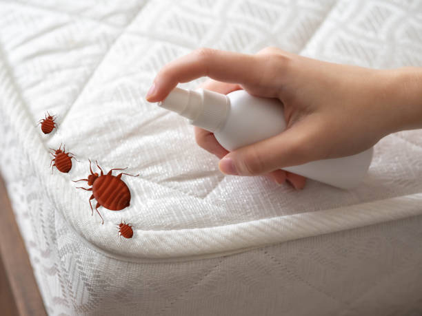 Pest Control for Restaurants in Montgomery, IN