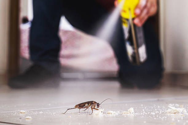 Best Flea Control Services  in Montgomery, IN