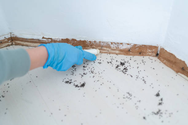 Professional Pest Control in Montgomery, IN