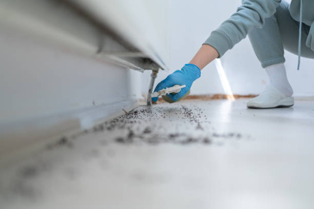 Best Ant Control Services  in Montgomery, IN